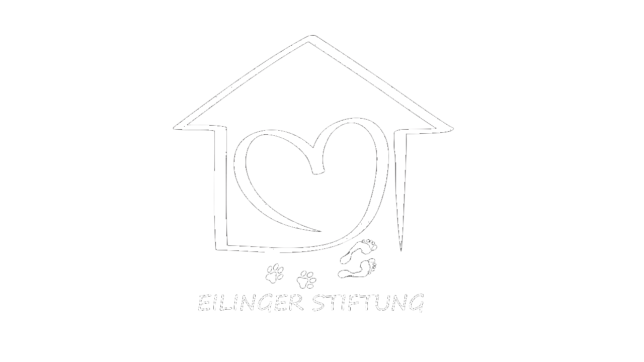 Eilinger Stiftung Logo